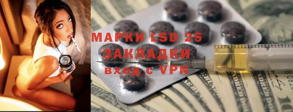 индика Вяземский