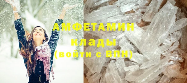 индика Вяземский
