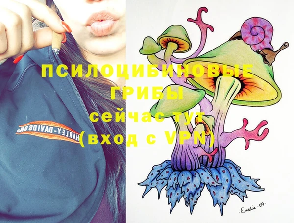 индика Вяземский