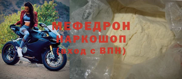 индика Вяземский