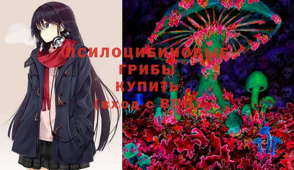 соль ск Горно-Алтайск