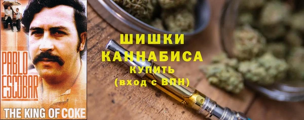 соль ск Горно-Алтайск