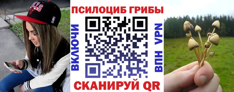 Купить закладки  Нюрба  Галлюциногенные грибы Psilocybine cubensis 