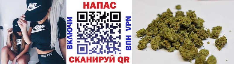 Купить закладки  Нюрба  Бошки Шишки Amnesia 